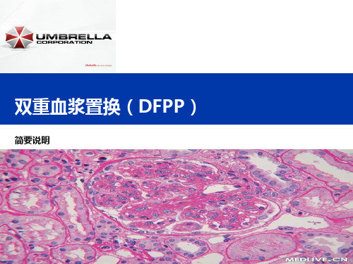 DFPP简要