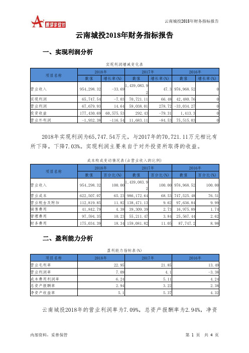 云南城投2018年财务指标报告-智泽华