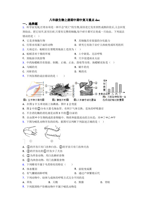 八年级生物上册期中期中复习重点doc