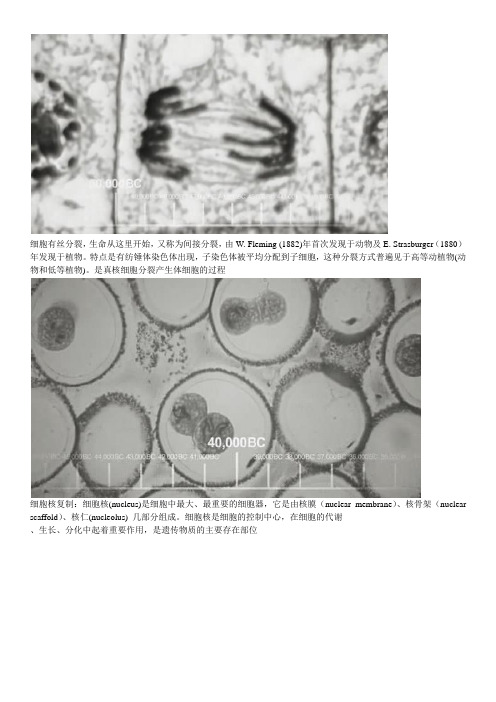 生活大爆炸片头图片分析