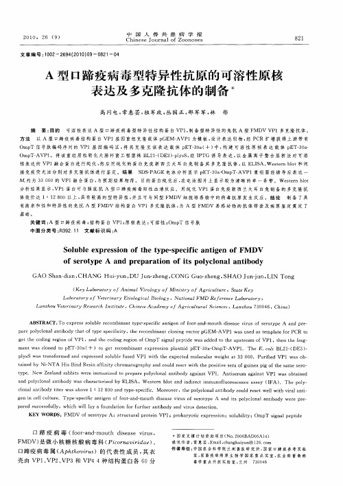 A型口蹄疫病毒型特异性抗原的可溶性原核表达及多克隆抗体的制备