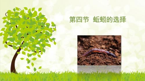 蚯蚓的选择