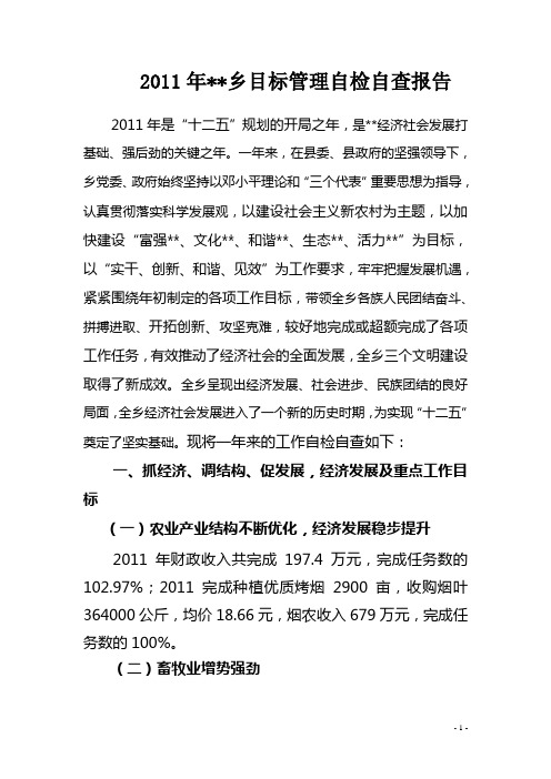 2011年乡目标管理自检自查报告doc