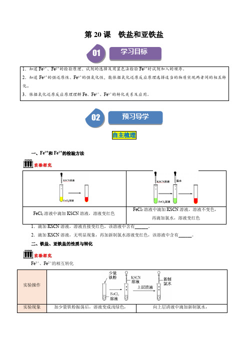 第20课铁盐和亚铁盐