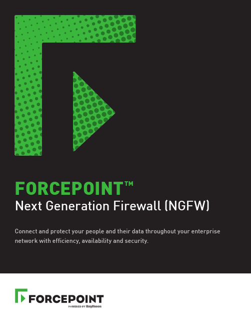 ForcePoint Next Generation Firewall (NGFW) 用户手册说明书