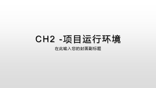 PMP知识点总结 CH2 项目运行环境