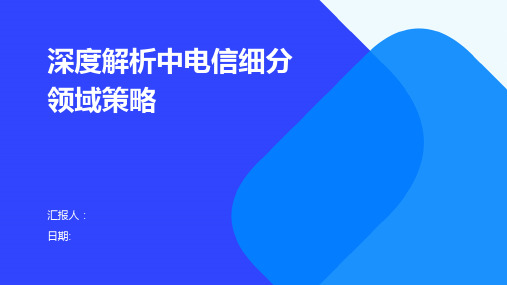 深度解析中电信细分领域策略