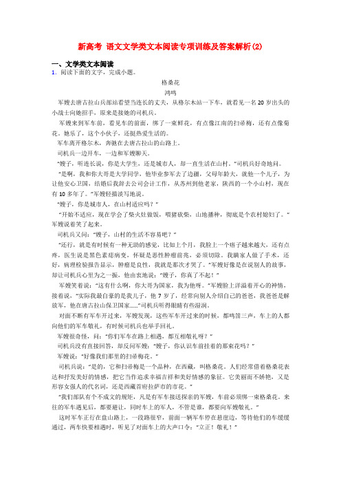 新高考 语文文学类文本阅读专项训练及答案解析(2)