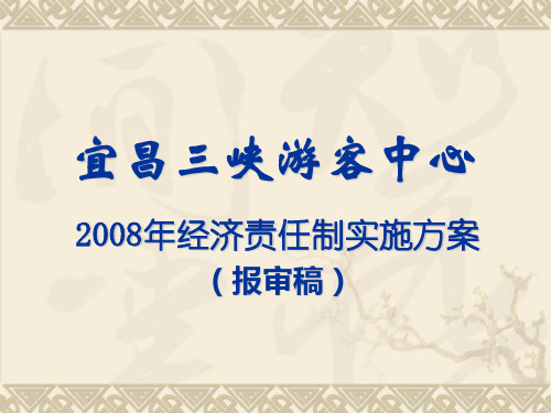 2008的经济责任制方案