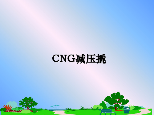 最新CNG减压撬PPT课件