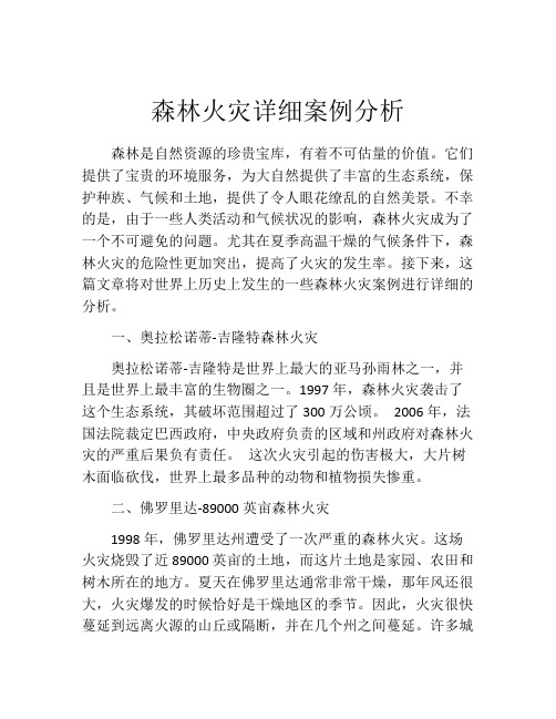 森林火灾详细案例分析