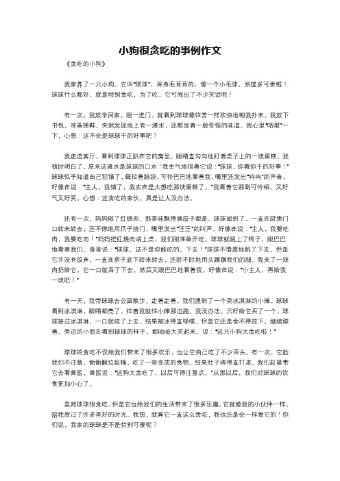 小狗很贪吃的事例作文