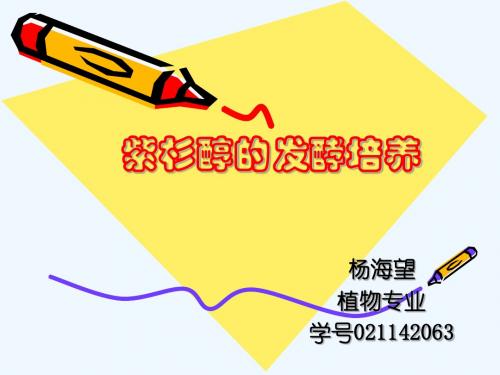紫杉醇的发酵培养