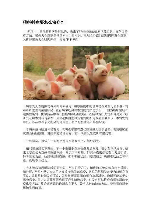 猪抖抖症要怎么治疗