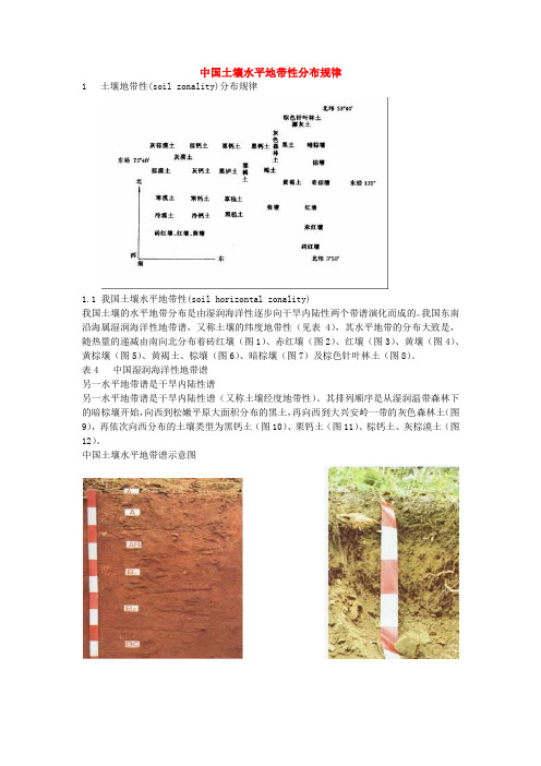 土壤地带性分布规律