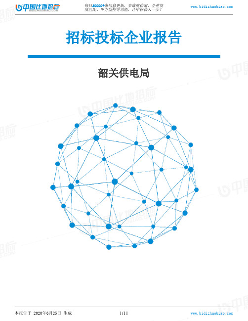 韶关供电局-招投标数据分析报告