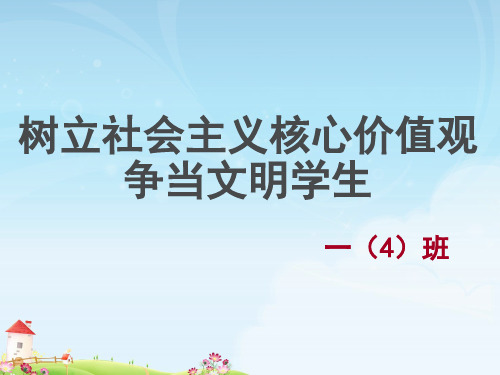 社会主义核心价值观主题班会ppt (2)-主题班会