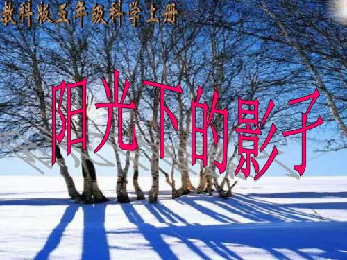 五年级上册科学课件-2.2阳光下的影子 |教科版 (共47张PPT)