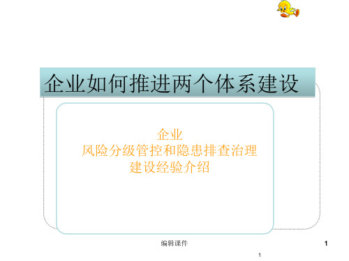 企业如何推进安全生产两个体系建设