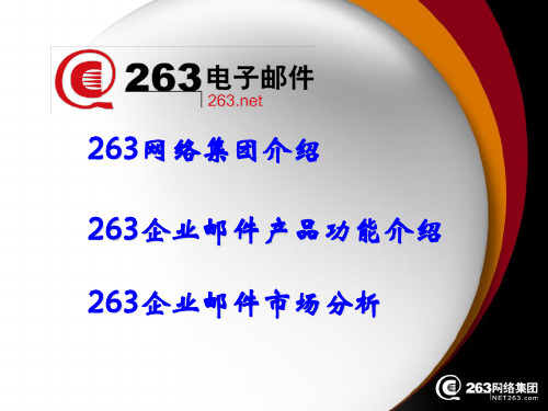 263网络集团介绍.