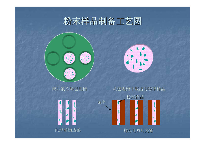 TEM制样PPT-3