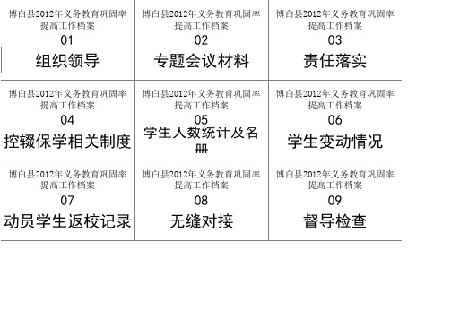 义务教育巩固率提高工作档案盒 正面标签