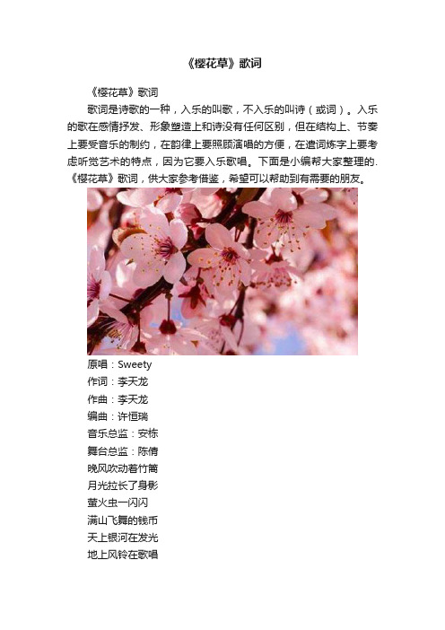 《樱花草》歌词