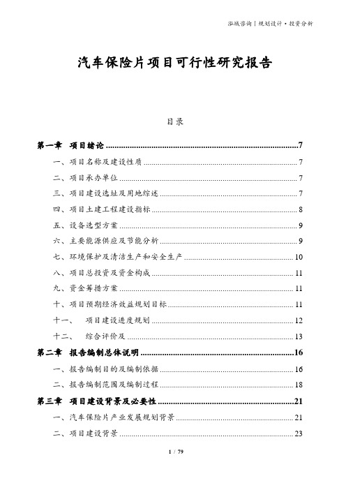 汽车保险片项目可行性研究报告