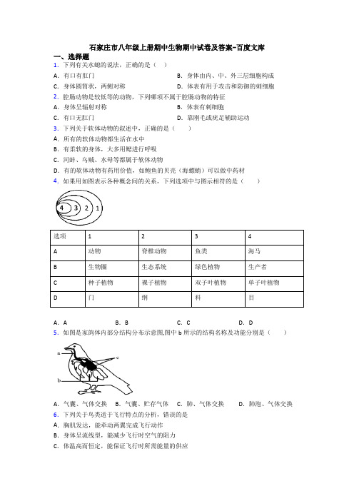 石家庄市八年级上册期中生物期中试卷及答案-百度文库