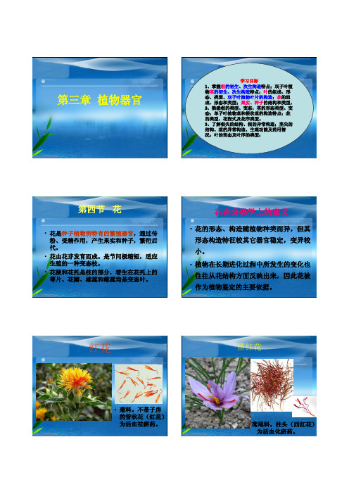 《药用植物学》第三章植物器官（花、果、种子）1