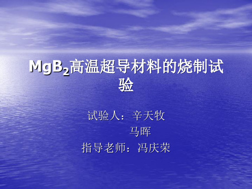 MgB2高温超导材料的烧制试验