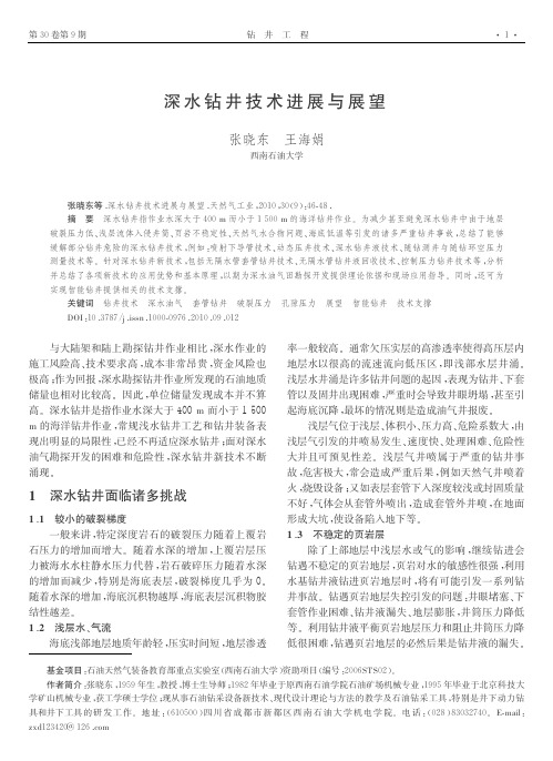 深水钻井技术进展与展望