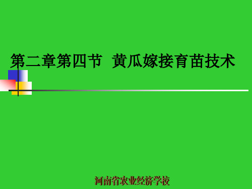 黄瓜插接法育苗技术课件