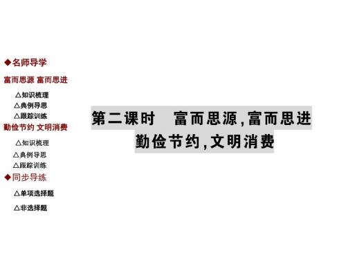 教科版九年级全册政治课件：第六课第二课时 富而思源,