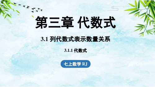 3.1 列代数式表示数量关系3.1.1代数式七年级上册数学人教版