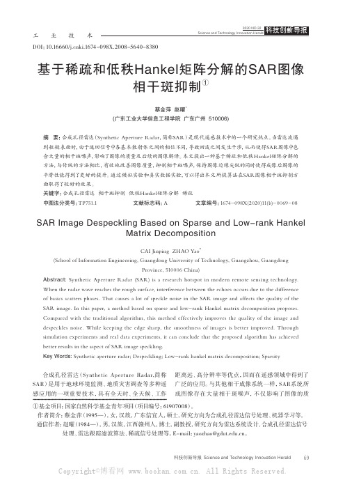 基于稀疏和低秩Hankel矩阵分解的SAR图像相干斑抑制