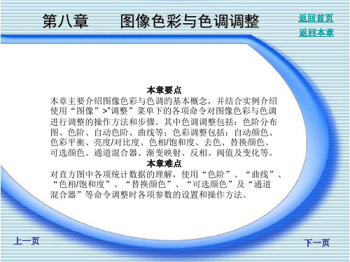 图像色彩与色调调整.ppt