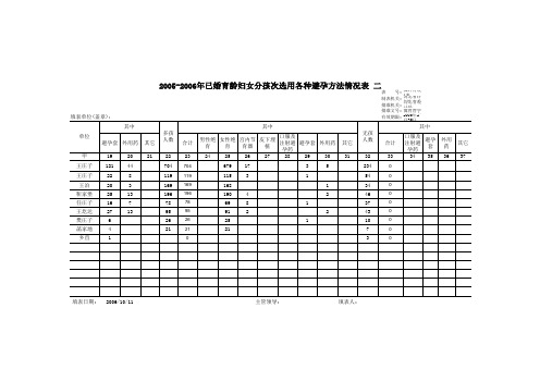 年已婚育龄妇女分孩次选用各种避孕方法情况表二2005-10-01#2006-09-30_王庄子Report