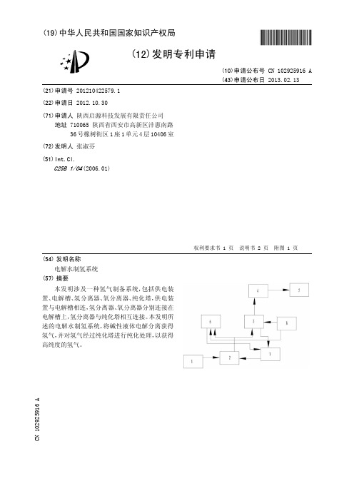 电解水制氢系统[发明专利]