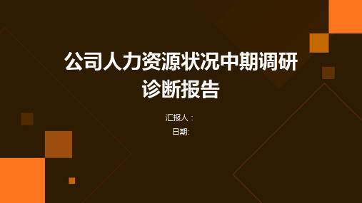 公司人力资源状况中期调研诊断报告