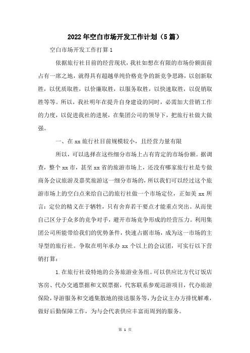 2022年空白市场开发工作计划(5篇)