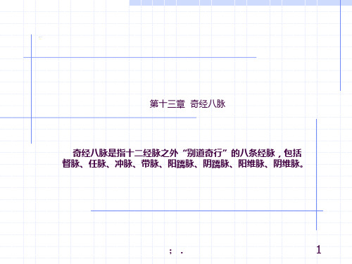 人体经络穴位图谱13督脉ppt课件