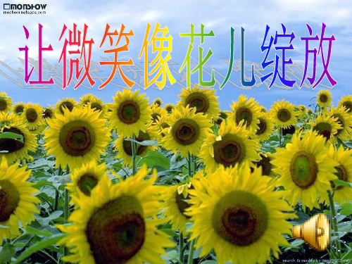 作文中如何设置悬念PPT