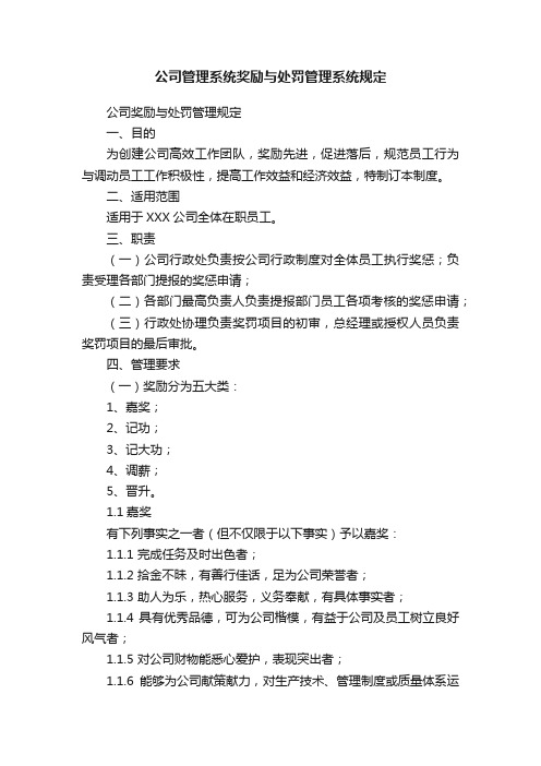 公司管理系统奖励与处罚管理系统规定