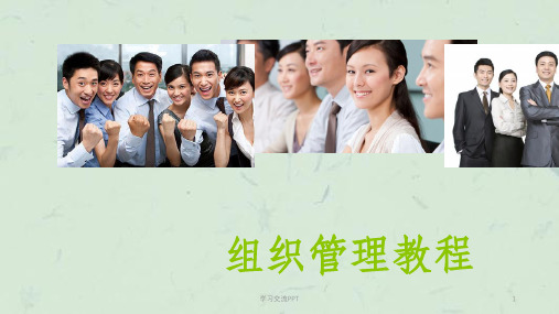 企业管理-组织管理教程课件