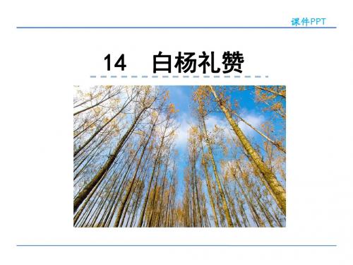 部编版八年级语文上册14白杨礼赞优秀PPT课件