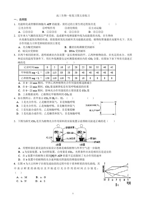 生物人教版高中必修1 分子与细胞高三生物一轮复习第五章练习