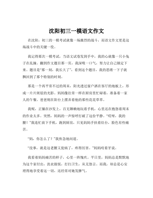 沈阳初三一模语文作文