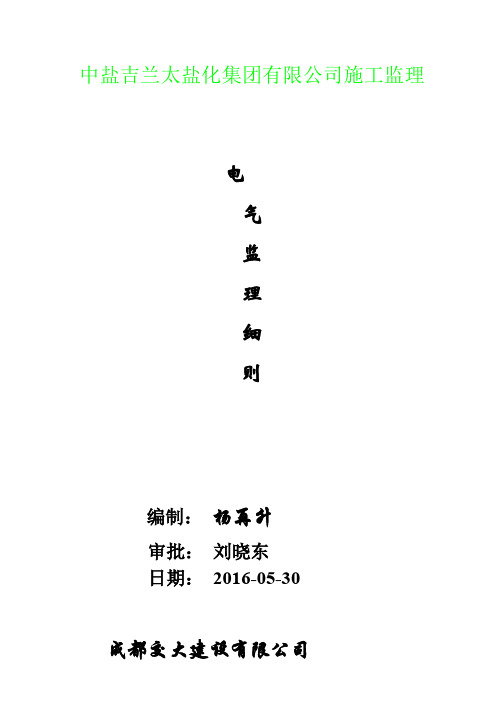 中盐吉兰泰电气监理细则