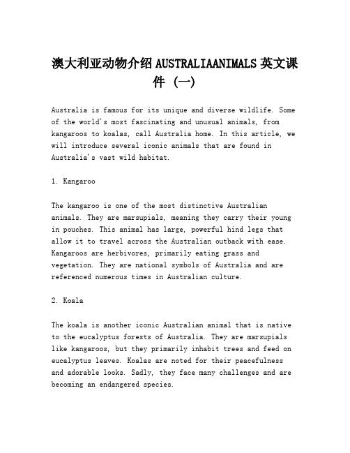 澳大利亚动物介绍AUSTRALIAANIMALS英文课件 (一)